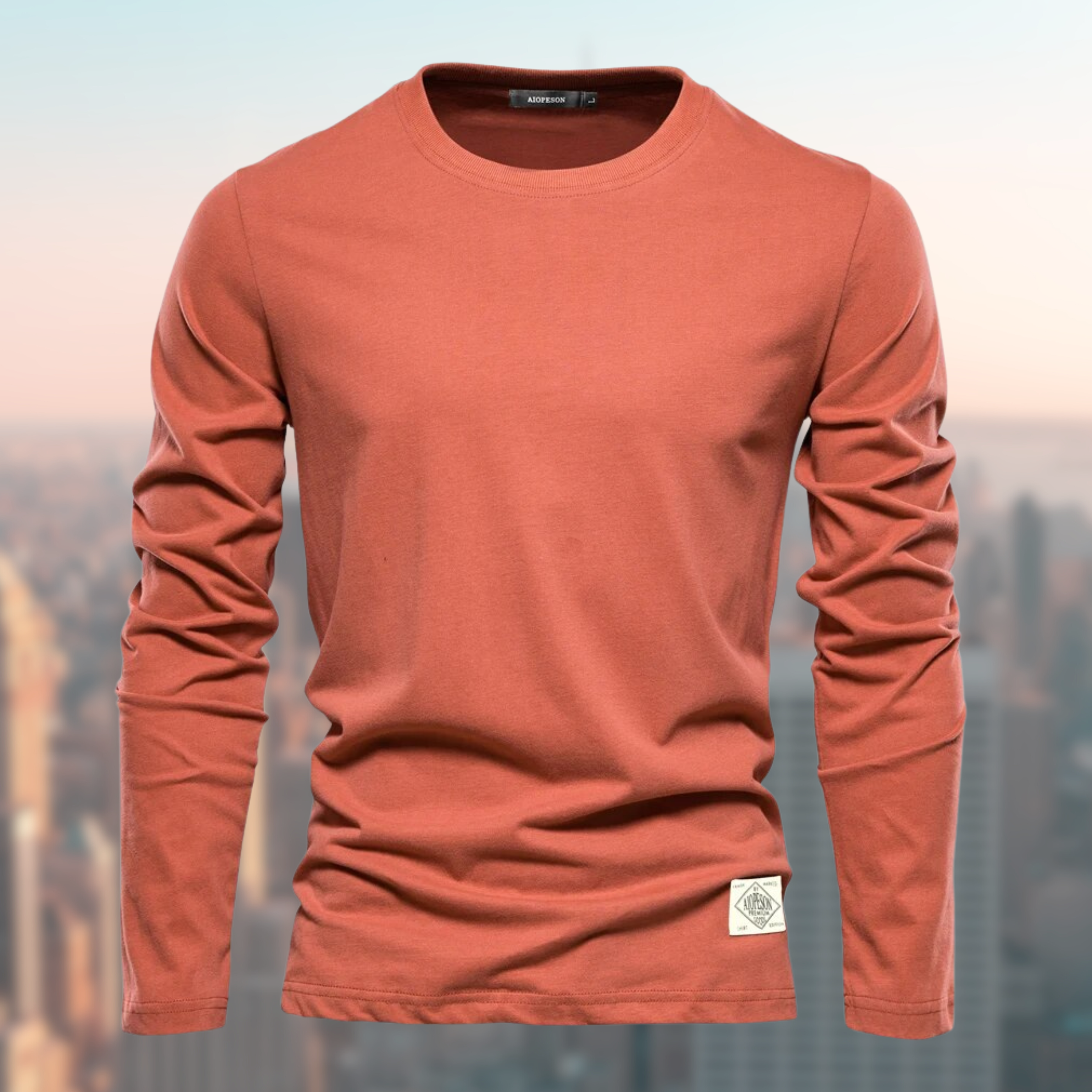 Men's Long Sleeve Crew Neck Sweatshirt, Soft Regular Fit Basic Top
