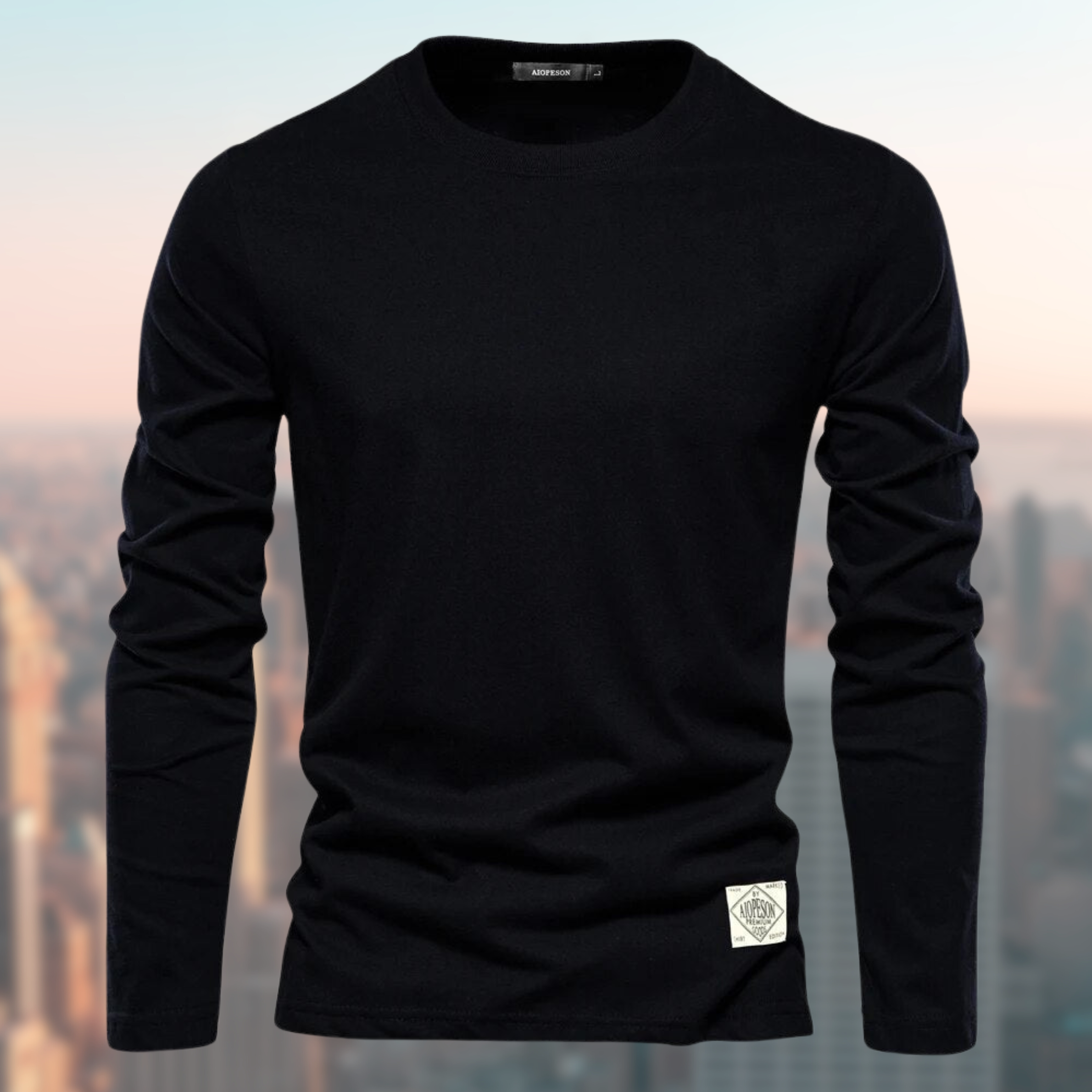 Men's Long Sleeve Crew Neck Sweatshirt, Soft Regular Fit Basic Top